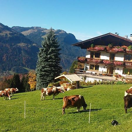 Апартаменты Hof Hamoos Кицбюэль Экстерьер фото